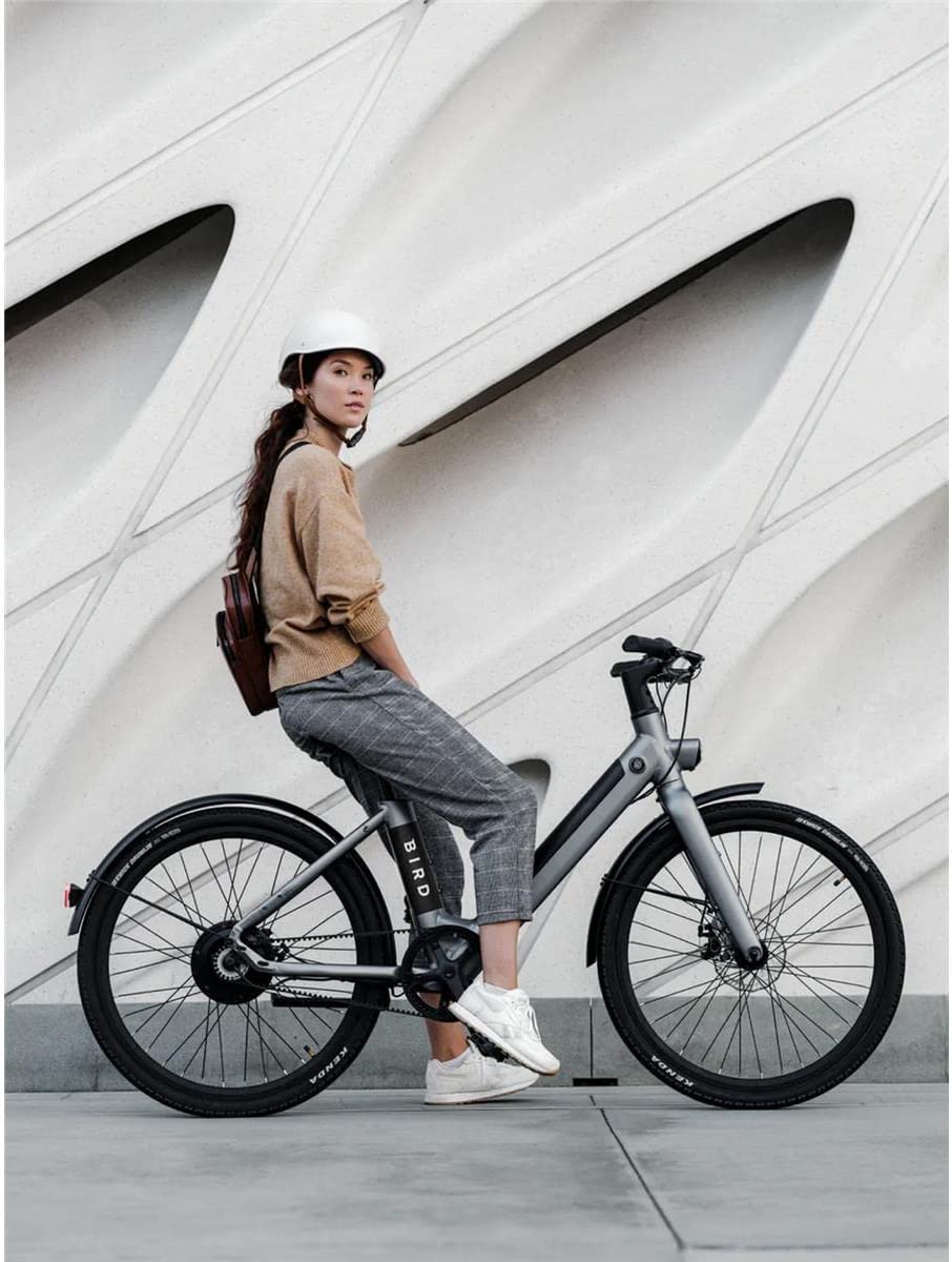 Bird-V-Frame eBike, 500Watt Motor, 50mi Max 20mph Max Speed, LCD Dash Display App Compatible