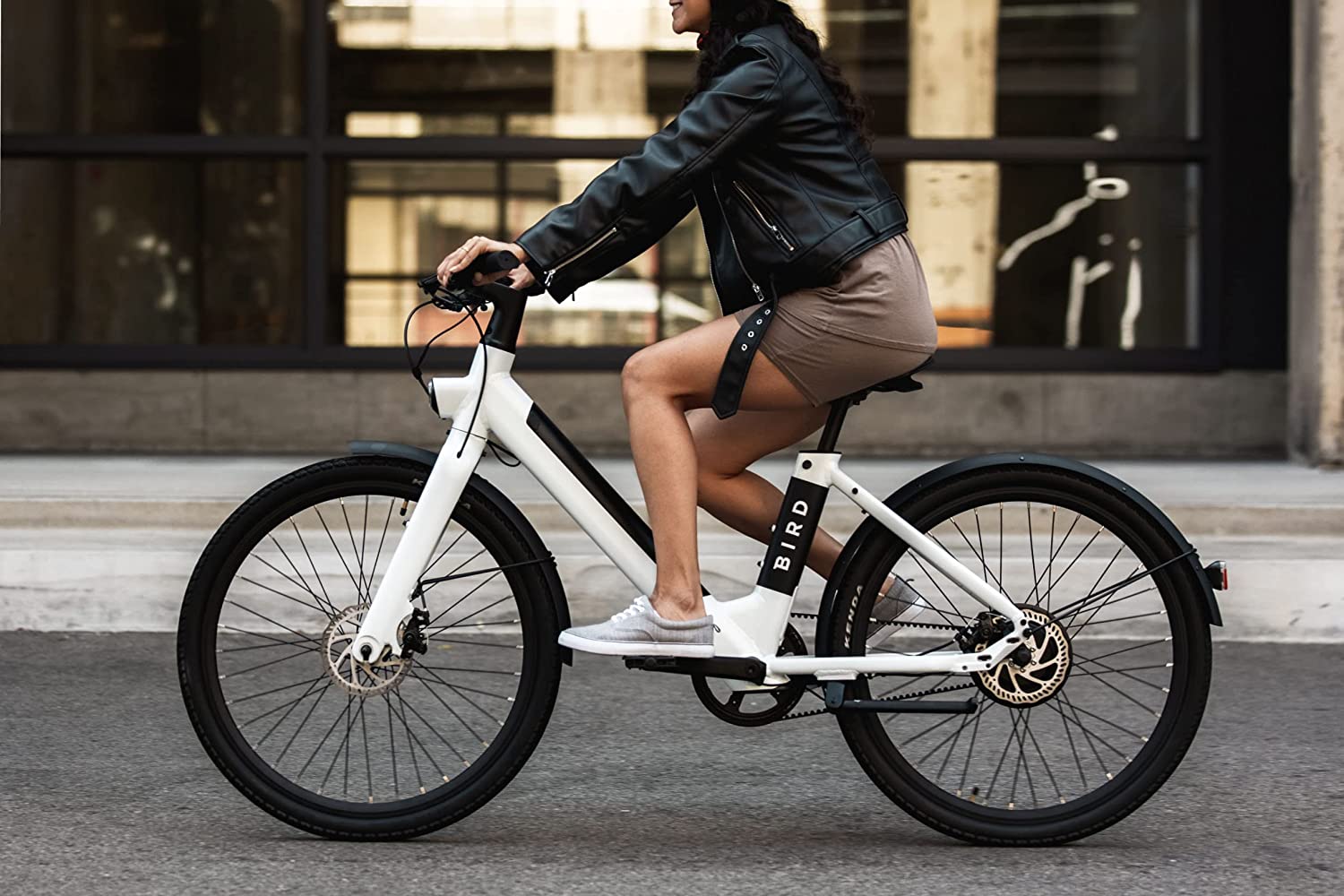 Bird-V-Frame eBike, 500Watt Motor, 50mi Max 20mph Max Speed, LCD Dash Display App Compatible