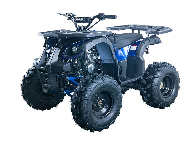 RIDER-10 125cc ATV, SINGLE CYLINDER,4 STROKE,AIR-COOLED(in stock)