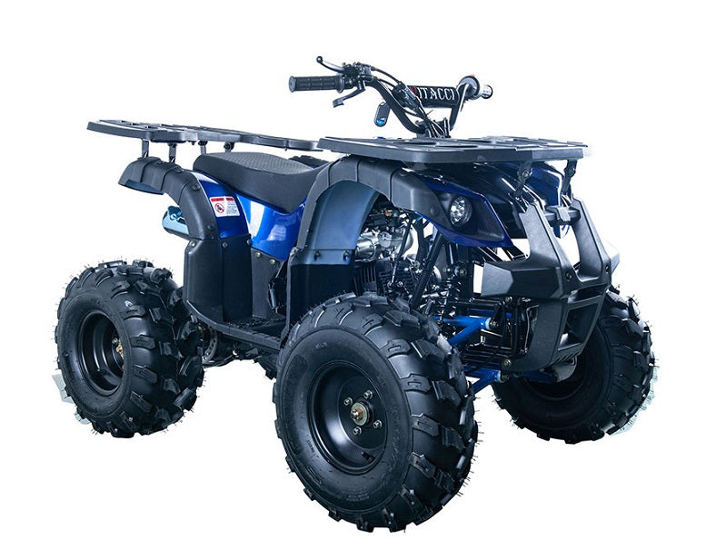 RIDER-10 125cc ATV, SINGLE CYLINDER,4 STROKE,AIR-COOLED(in stock)