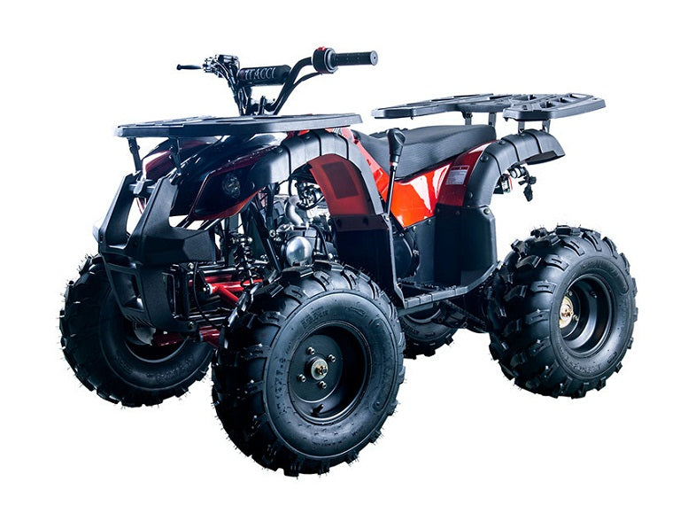 RIDER-10 125cc ATV, SINGLE CYLINDER,4 STROKE,AIR-COOLED(in stock)