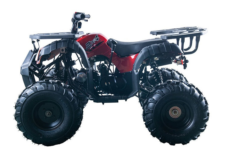 RIDER-10 125cc ATV, SINGLE CYLINDER,4 STROKE,AIR-COOLED(in stock)