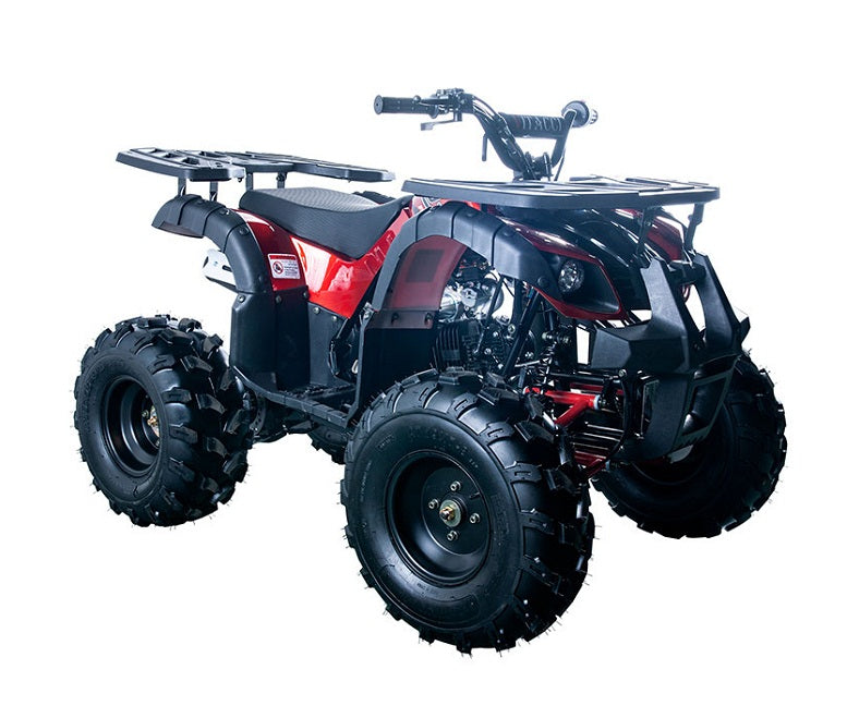 RIDER-10 125cc ATV, SINGLE CYLINDER,4 STROKE,AIR-COOLED(in stock)