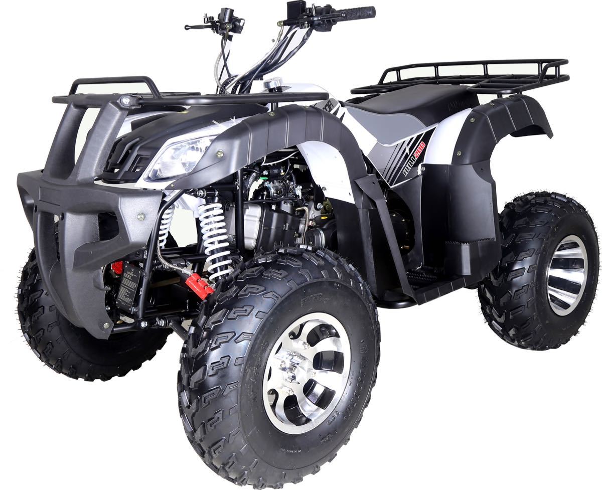 TaoTao BULL 200 169CC, Air Cooled, 4-Stroke, 1-Cylinder, Automatic