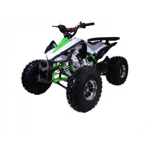 taotao 125cc new Cheetah mid size atv automatic-with-reverse 4-stroke