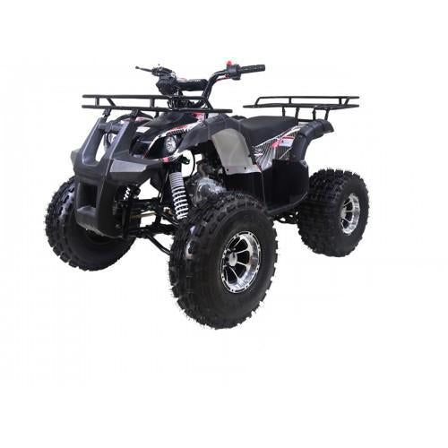 New TForce Taotao 125CC Mid Size ATV, Air Cool, Single Cylinder 4-Stroke