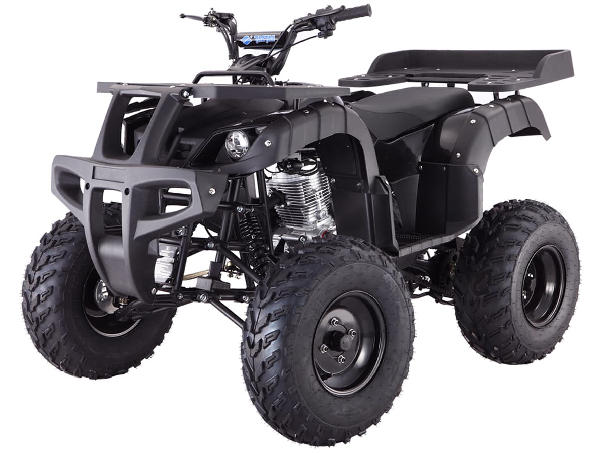 Taotao RHINO-250 196cc Full Size ATV Quad Air Cooled, Manual Clutch