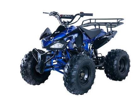 RPS JET 8 Cheetah-125cc ATV Air Cooled, Single Cylinder 4 stroke