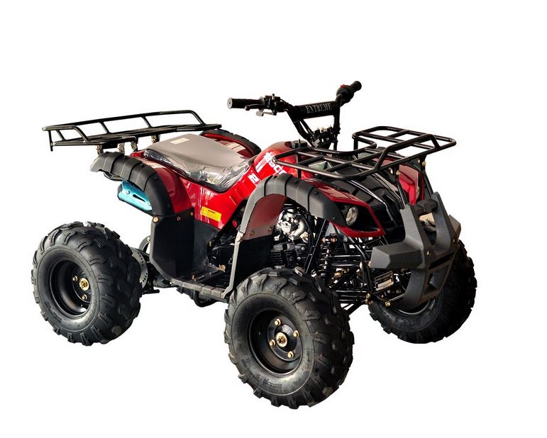 RPS 125CC Raider 8 Kids ATV, Air Cool, Single Cylinder, 4-Stroke  Kids ATV