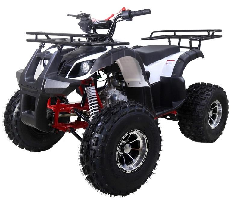 New TForce Taotao 125CC Mid Size ATV, Air Cool, Single Cylinder 4-Stroke