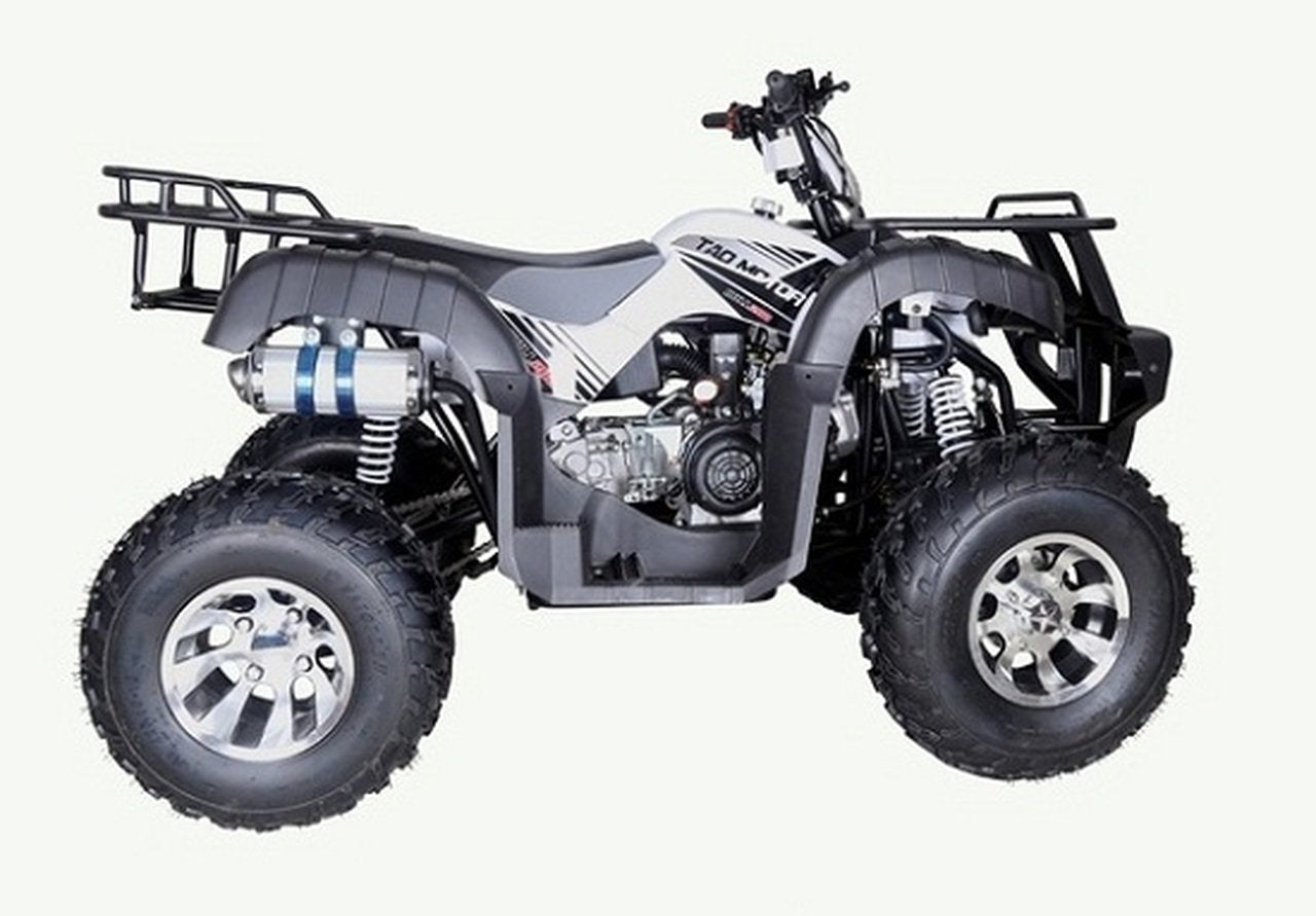 TaoTao BULL 200 169CC, Family-Sized Utility ATV With SAFETY