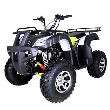 TaoTao BULL 200 169CC, Air Cooled, 4-Stroke, 1-Cylinder, Automatic