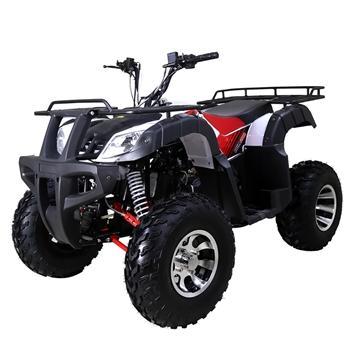 TaoTao BULL 200 169CC, Air Cooled, 4-Stroke, 1-Cylinder, Automatic