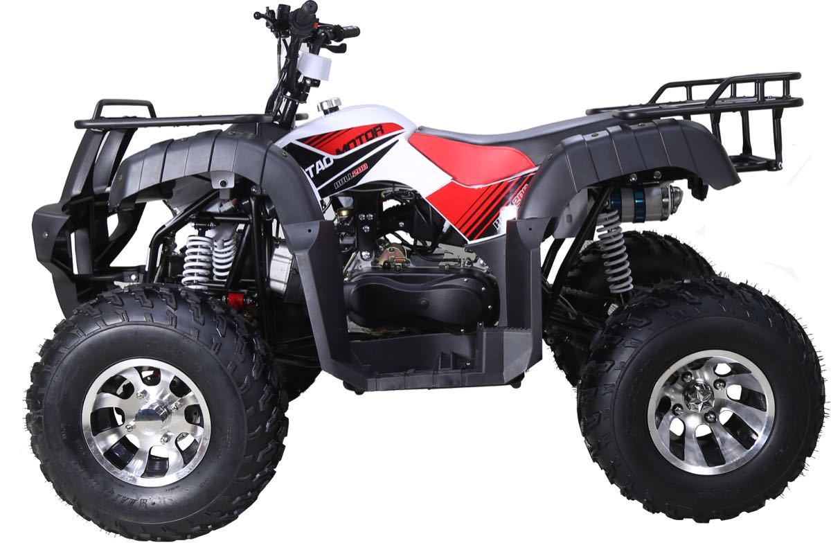 TaoTao BULL 200 169CC, Air Cooled, 4-Stroke, 1-Cylinder, Automatic