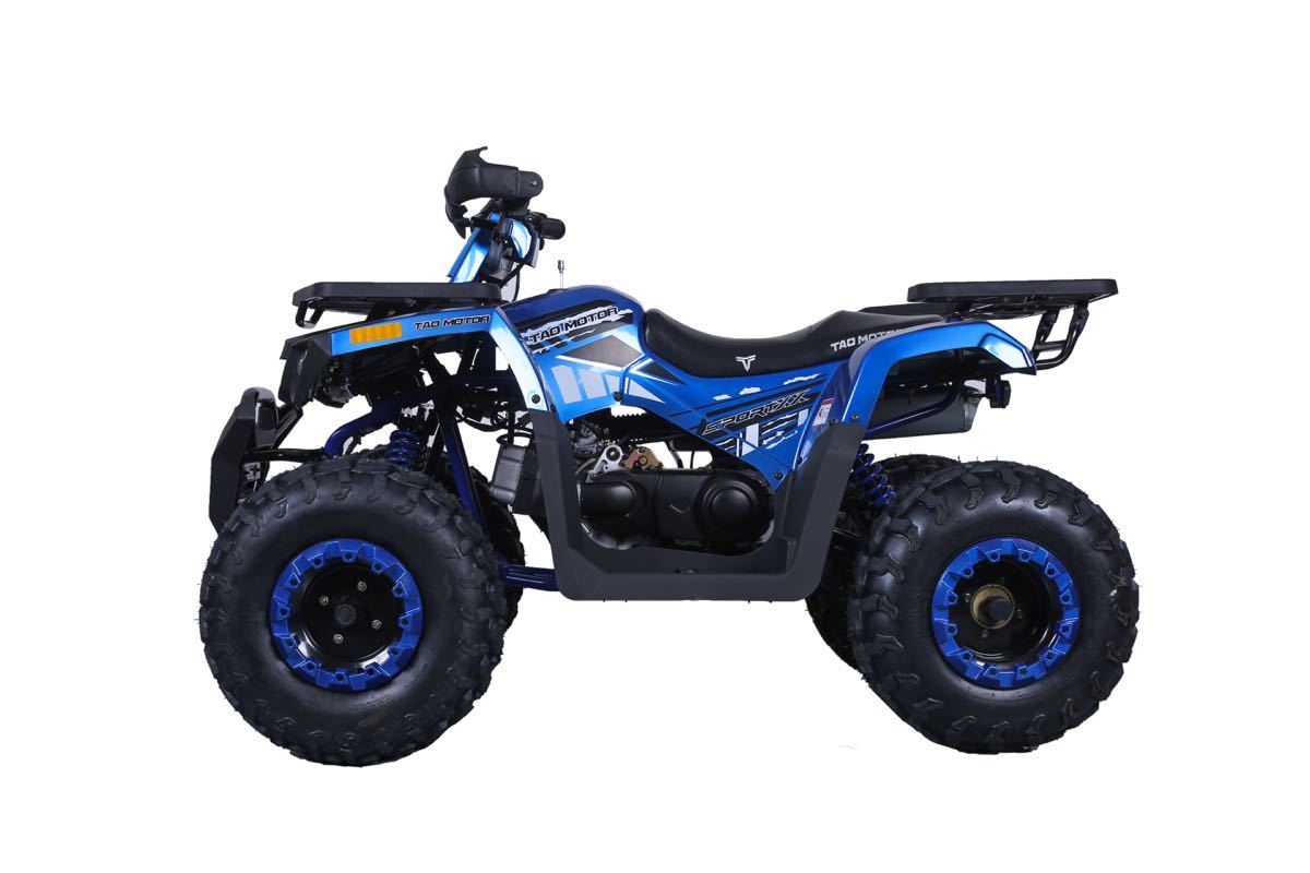 Taotao Raptor 200 169cc Air Cooled, 4-Stroke