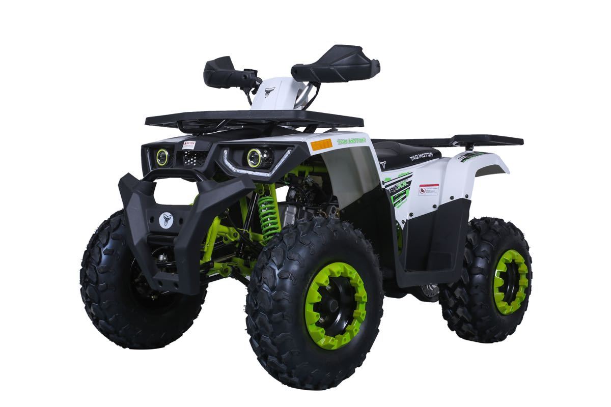 Taotao Raptor 200 169cc Air Cooled, 4-Stroke