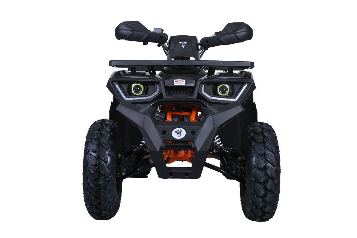 Taotao Raptor 200 169cc Air Cooled, 4-Stroke