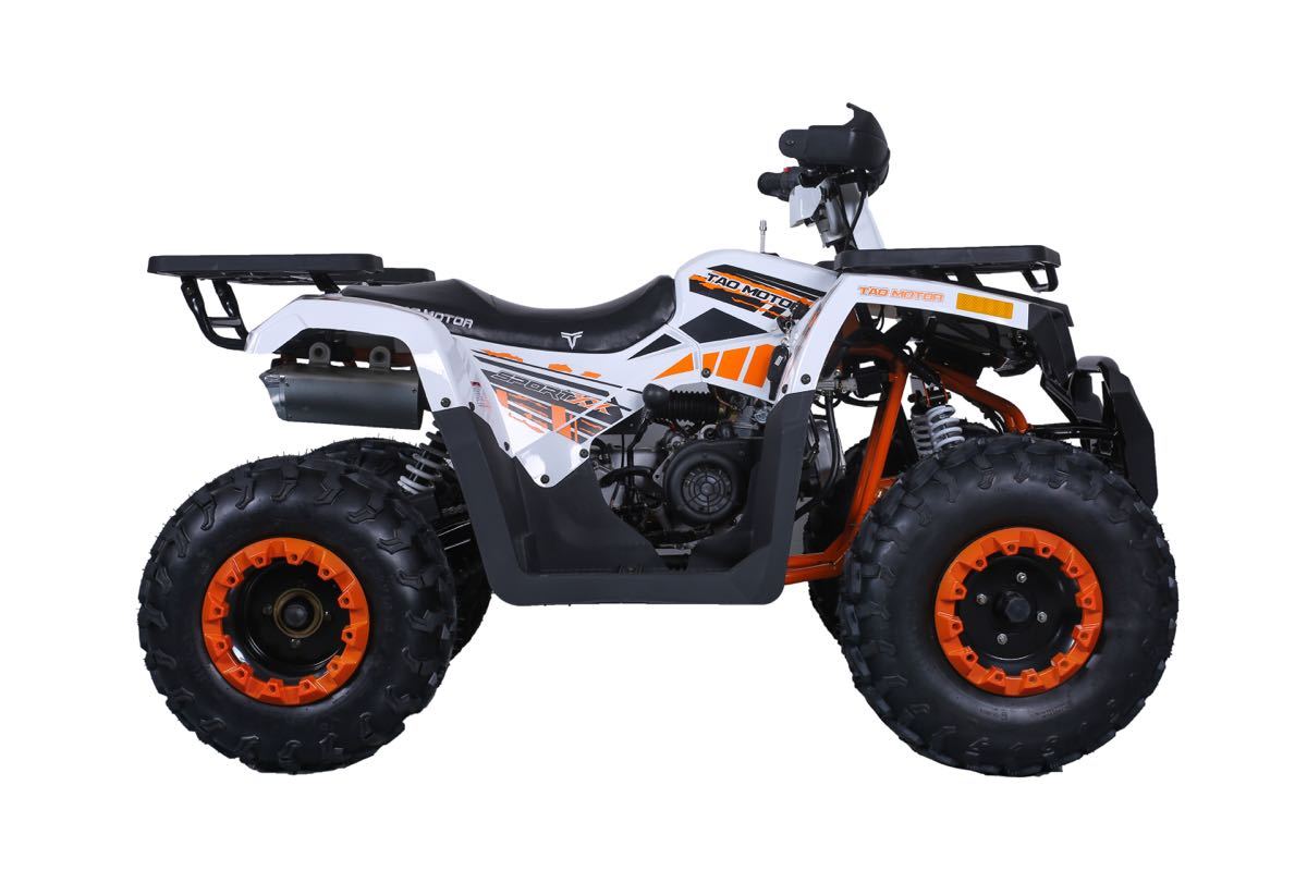 Taotao Raptor 200 169cc Air Cooled, 4-Stroke