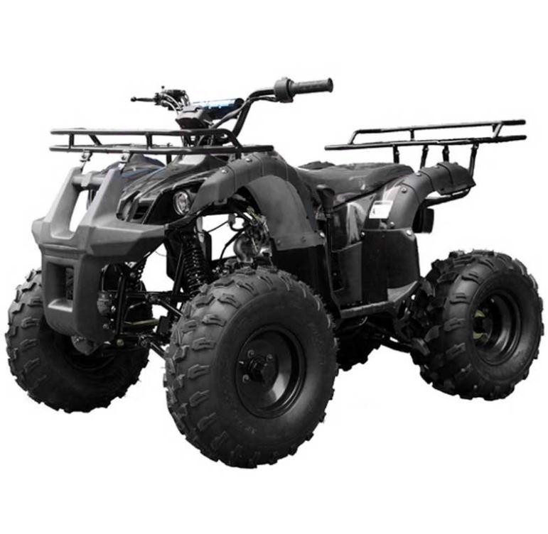 TAO TAO 125cc Utility ATV is Fully Automatic and Reverse, Remote control and Big Alloy Rims and Rugged Tires 19"/18" and Big LED Headlights