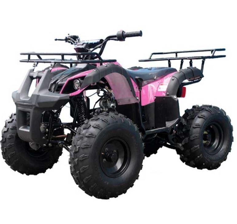 TAO TAO 125cc Utility ATV is Fully Automatic and Reverse, Remote control and Big Alloy Rims and Rugged Tires 19"/18" and Big LED Headlights