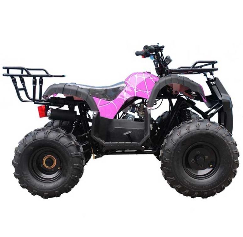 TAO TAO 125cc Utility ATV is Fully Automatic and Reverse, Remote control and Big Alloy Rims and Rugged Tires 19"/18" and Big LED Headlights