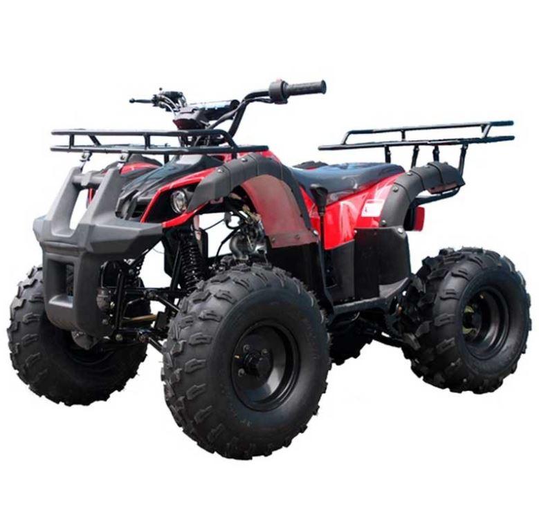 TAO TAO 125cc Utility ATV is Fully Automatic and Reverse, Remote control and Big Alloy Rims and Rugged Tires 19"/18" and Big LED Headlights