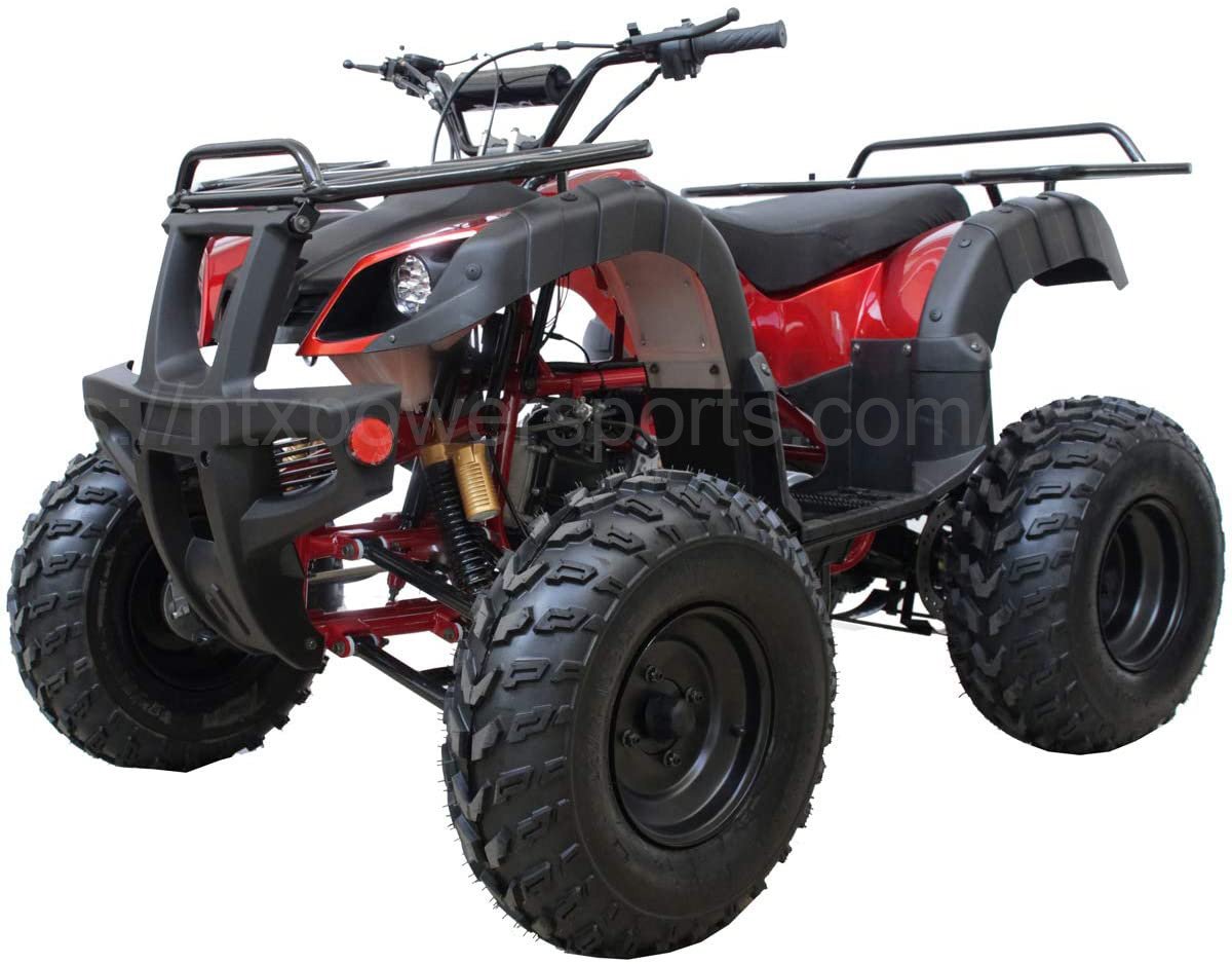 Rps Tk200-B5 Atv 200CC Electric Start, Fully Auto With Reverse