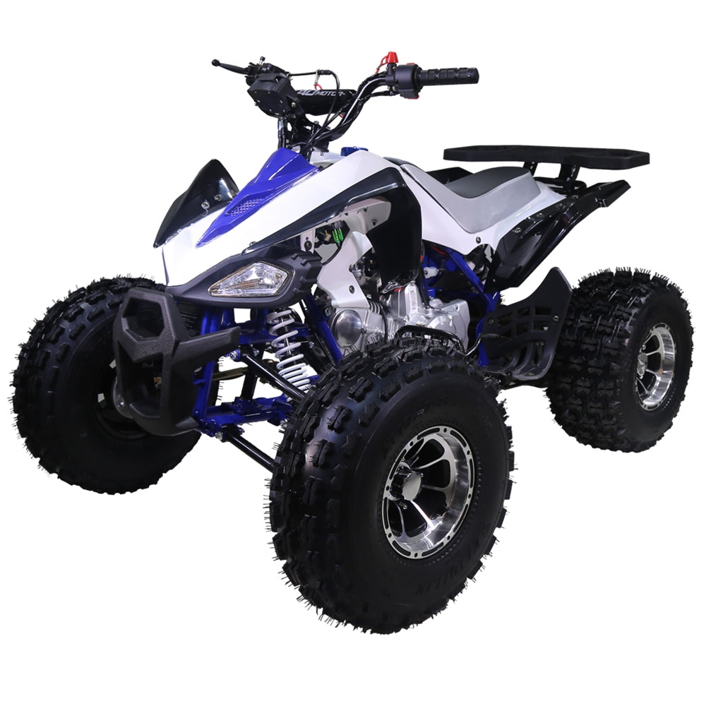 taotao 125cc new Cheetah mid size atv automatic-with-reverse 4-stroke