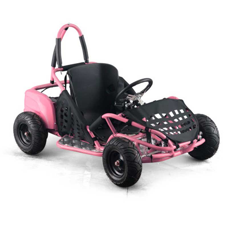 Go-Bowen 1000W Brushless Kids GoKart 4 Wheeler