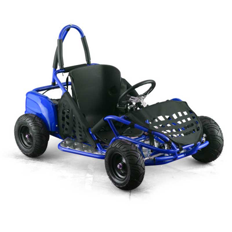 Go-Bowen 1000W Brushless Kids GoKart 4 Wheeler