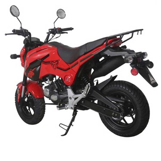 Tao Hellcat 125cc dirtbike