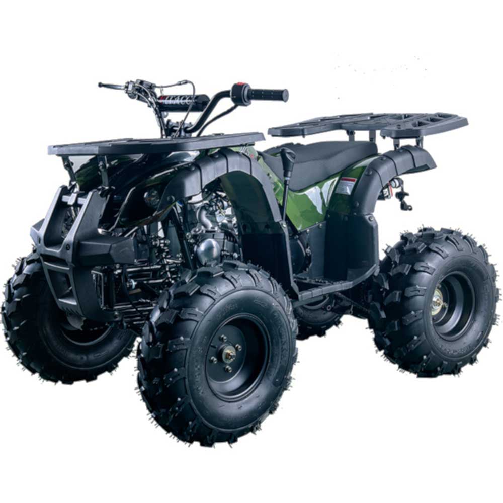 RIDER-10 125cc ATV, SINGLE CYLINDER,4 STROKE ( CARB Approved )